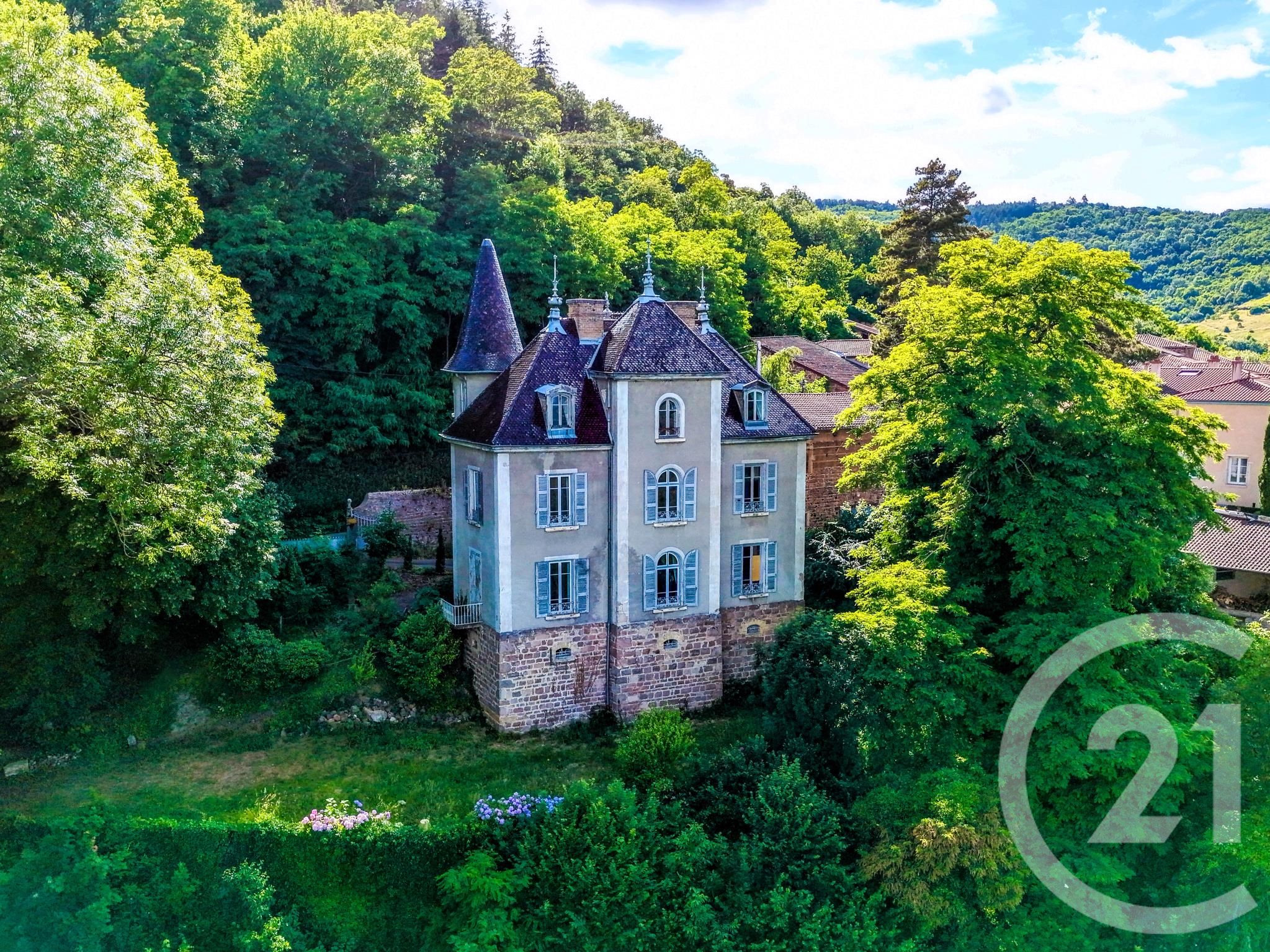 Maison 310m² — Blacé