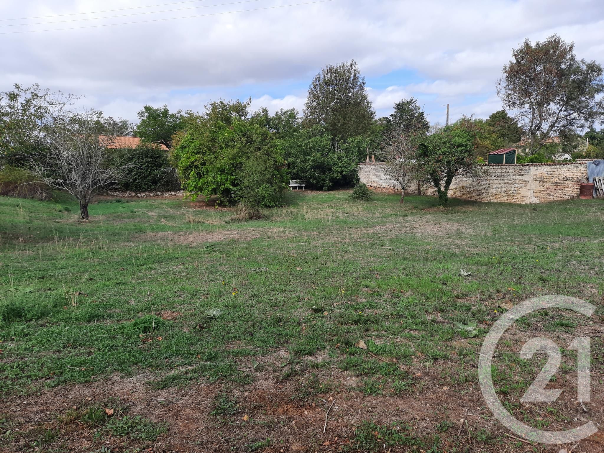Terrain — Celles-sur-Belle