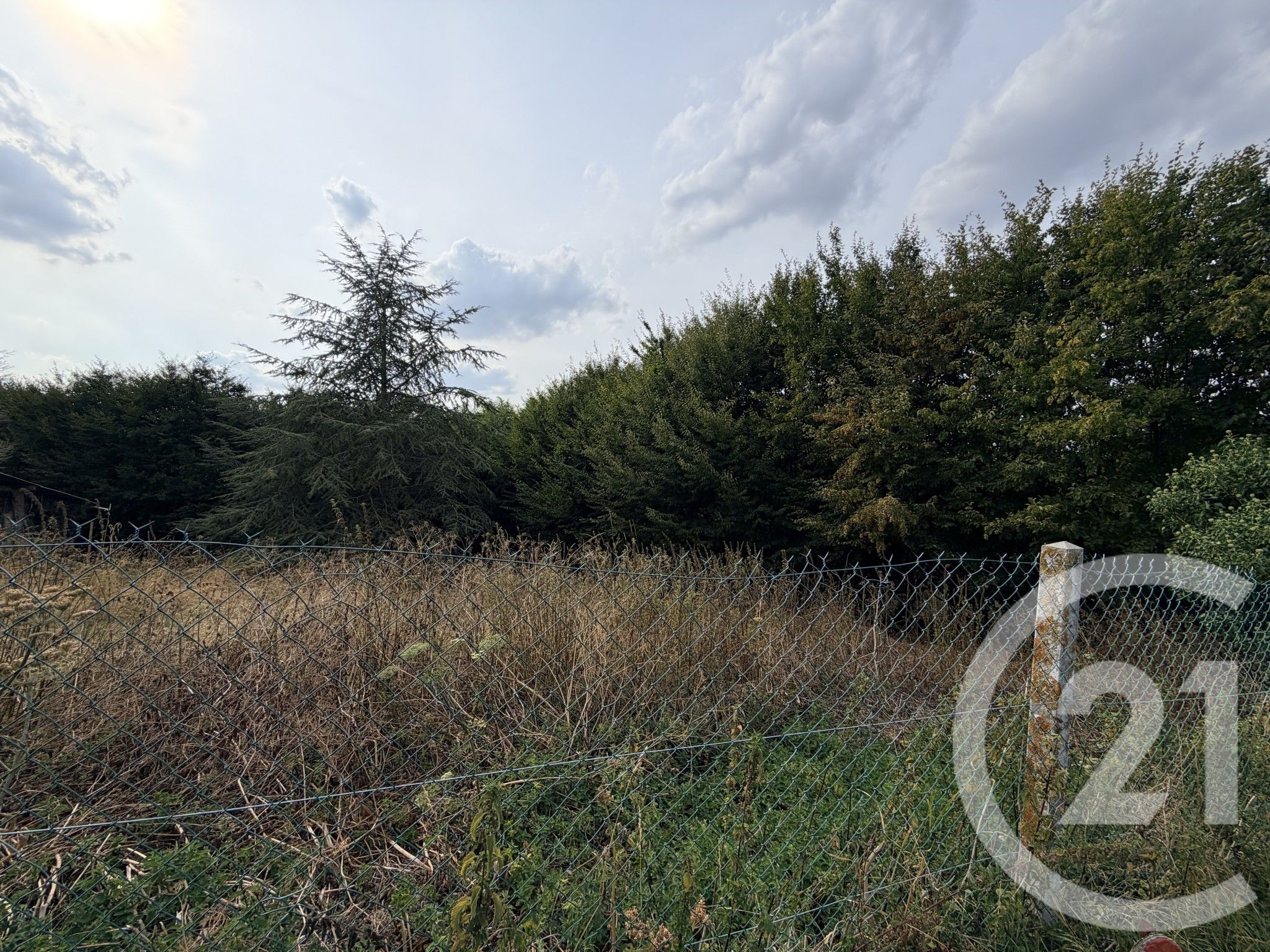 Terrain — Villers-sur-le-Roule
