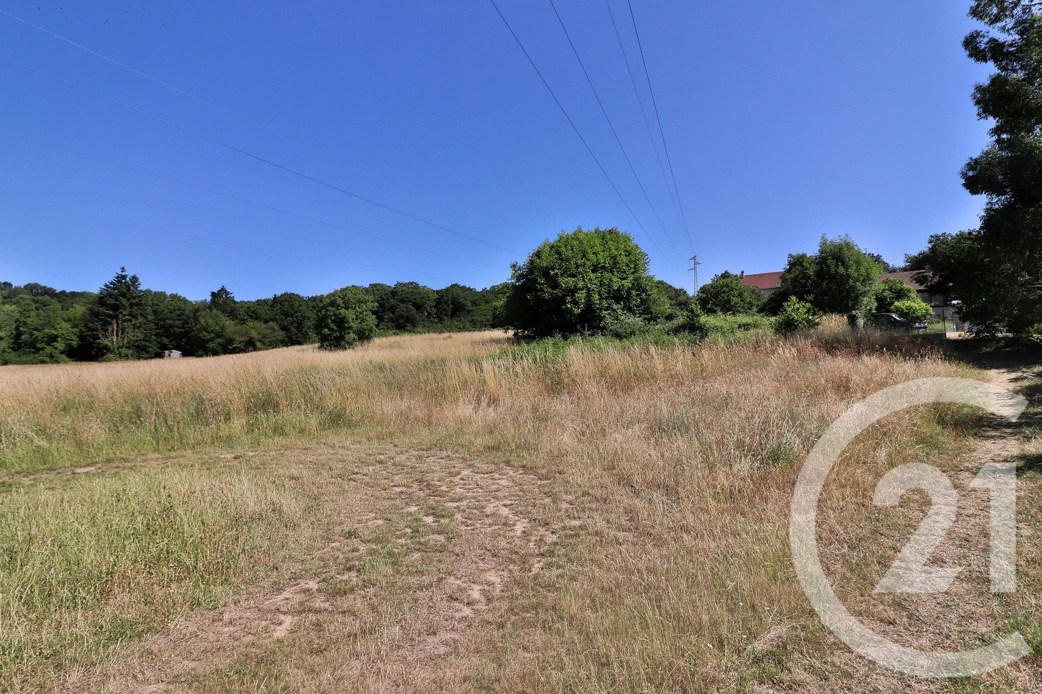Terrain — Chamarande
