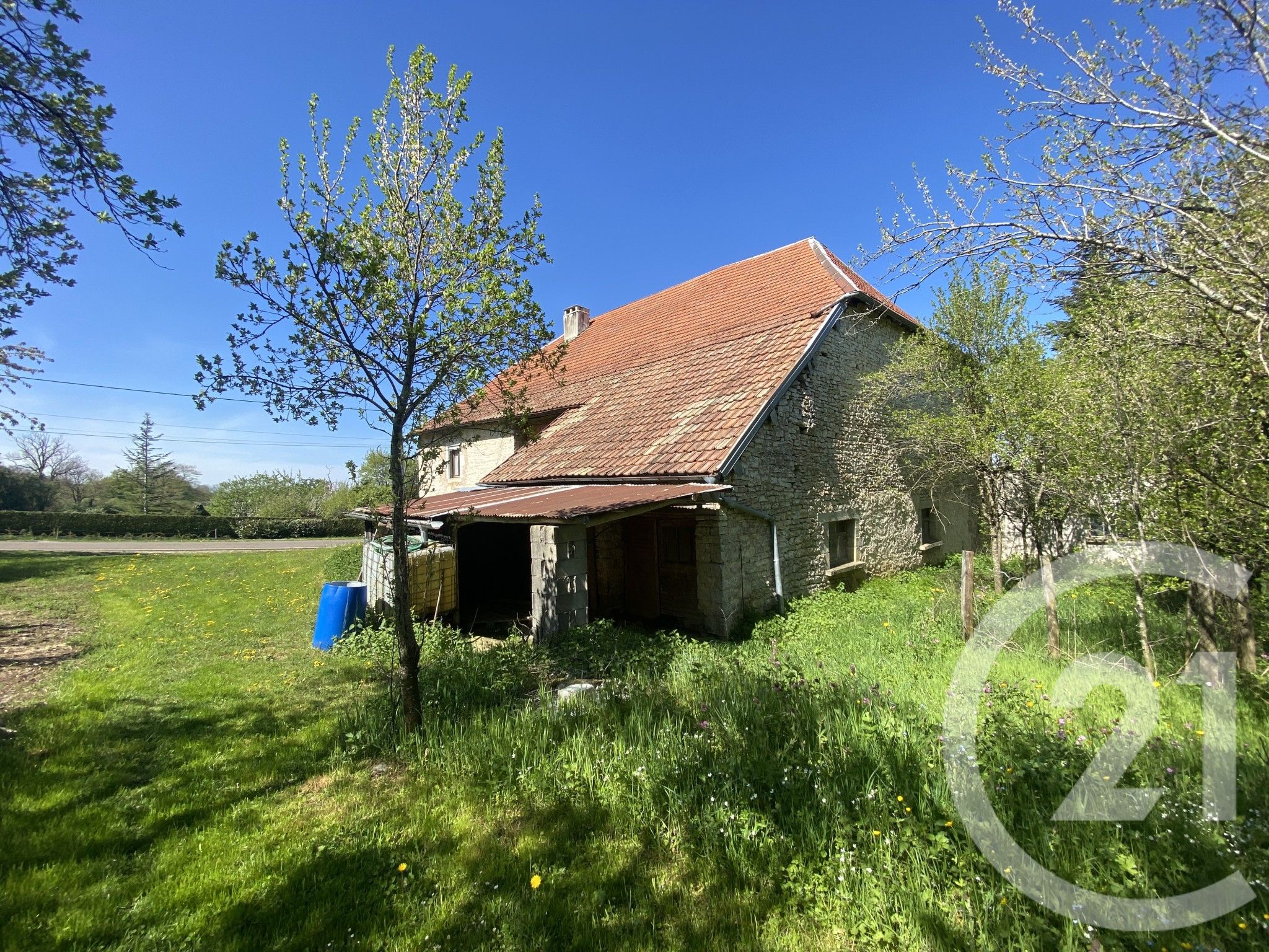 property photo