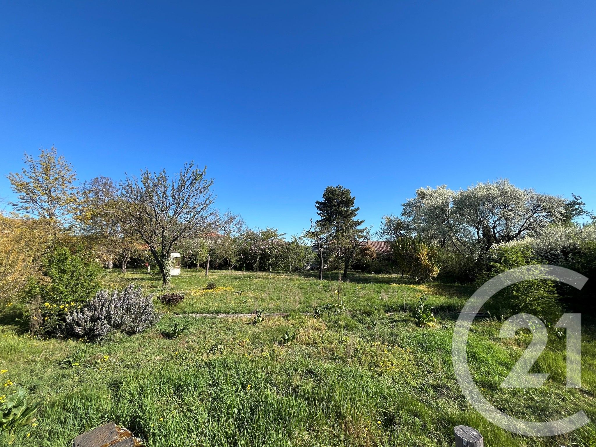 Terrain — Riom