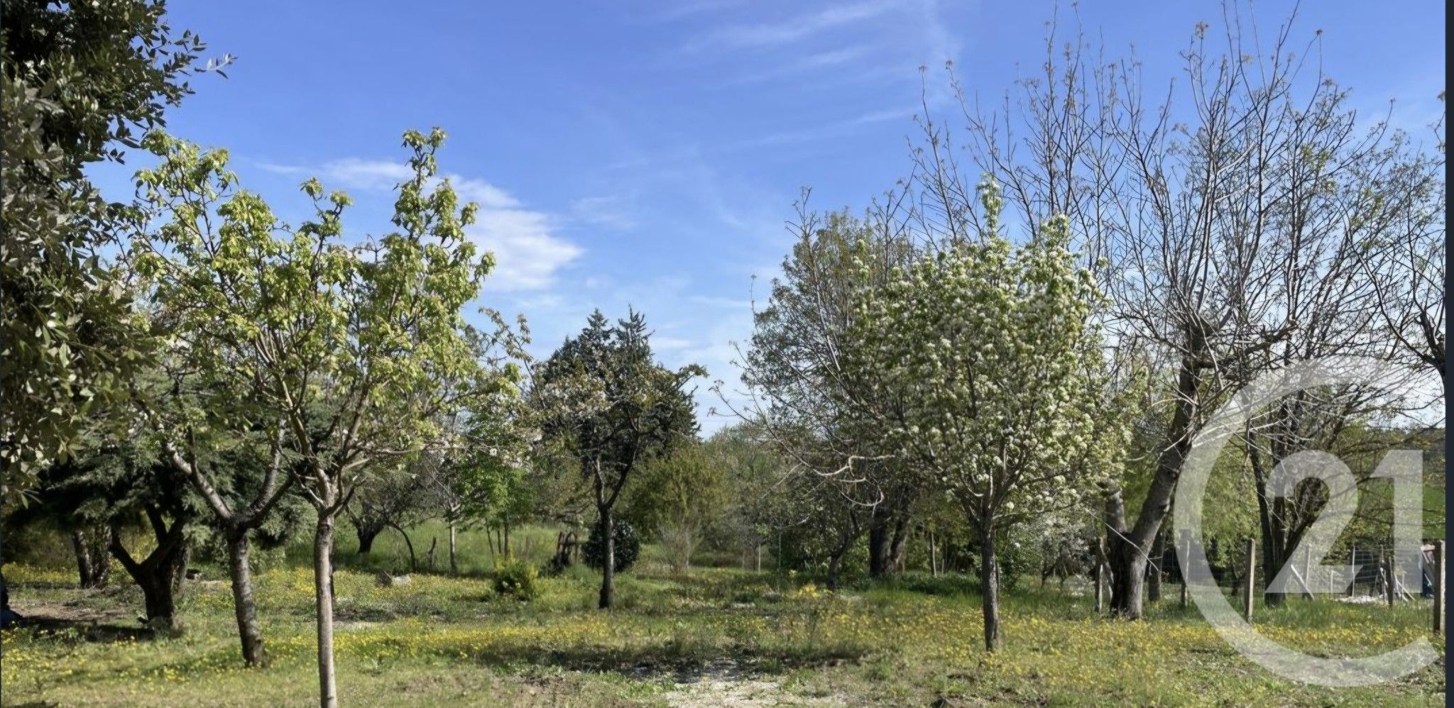 Terrain — Senouillac
