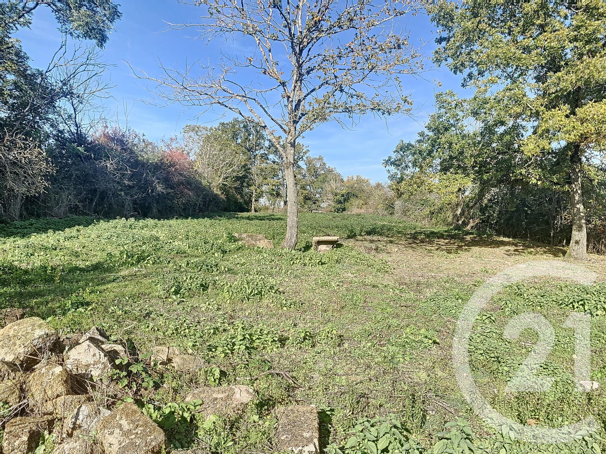 Terrain — Le Theil