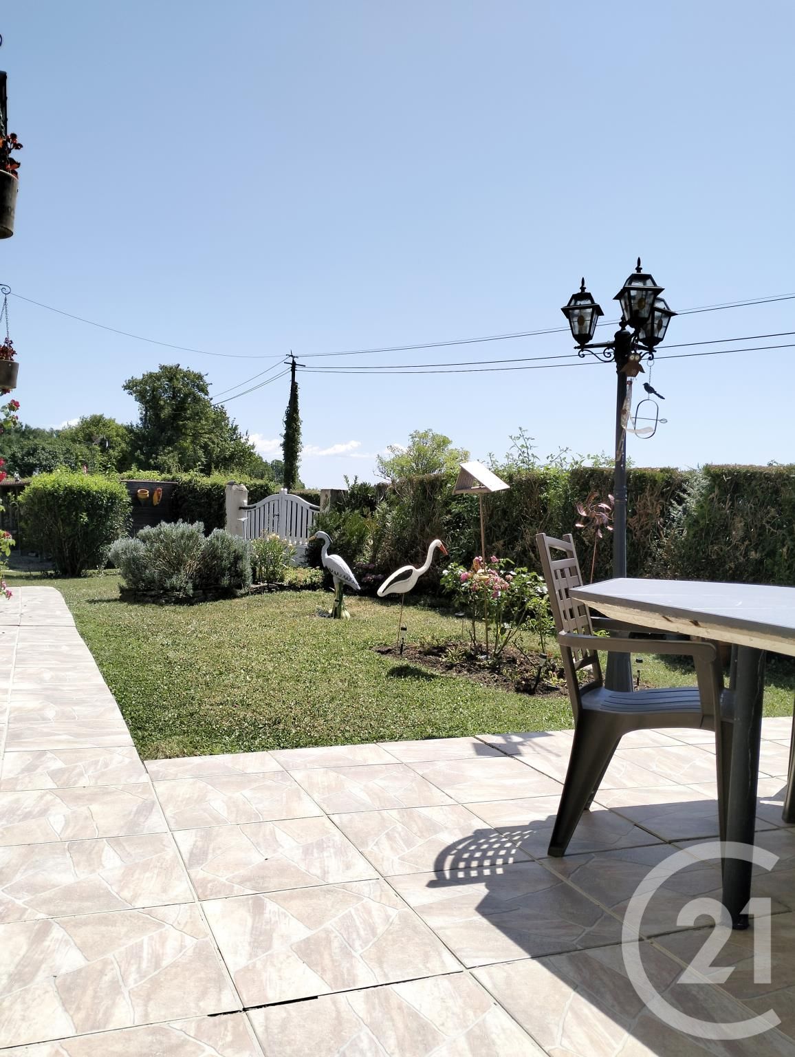 image annonce