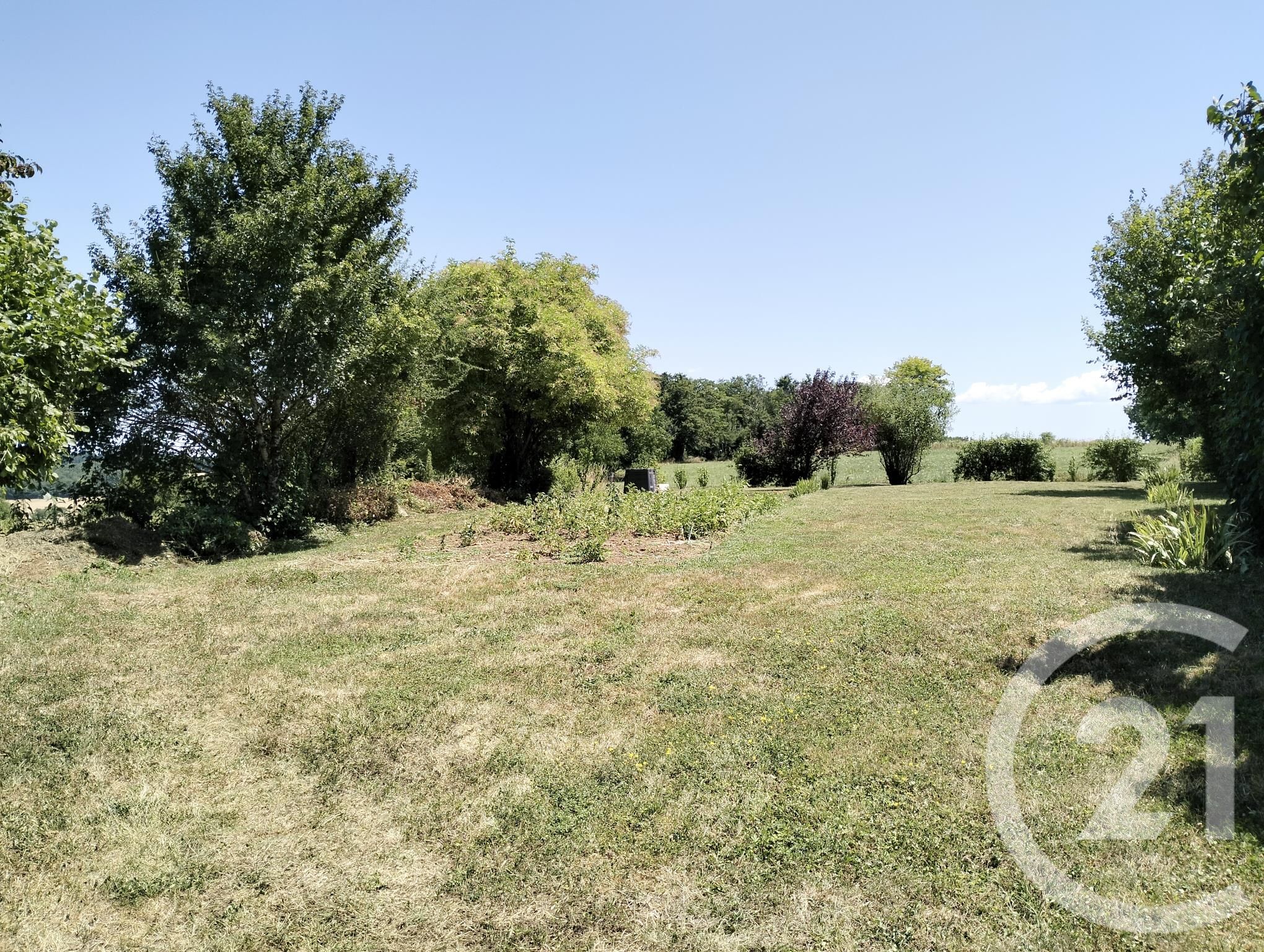 image annonce