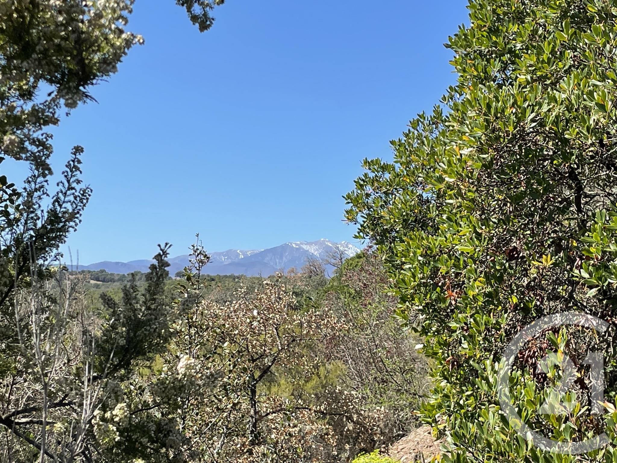 Terrain — Llauro