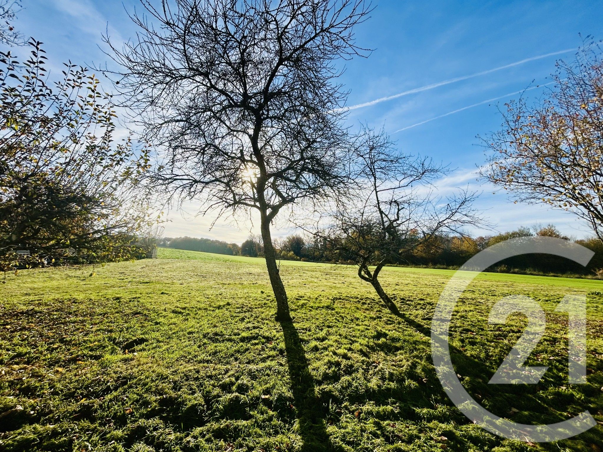 Terrain — Esternay
