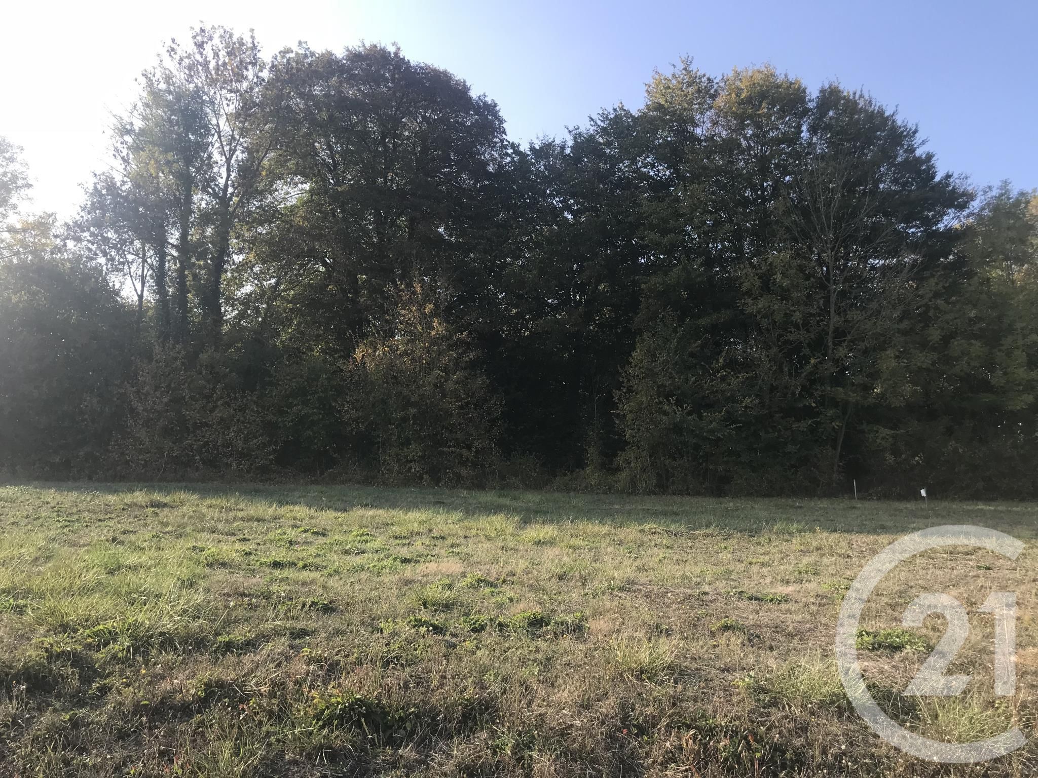 Terrain — Esternay