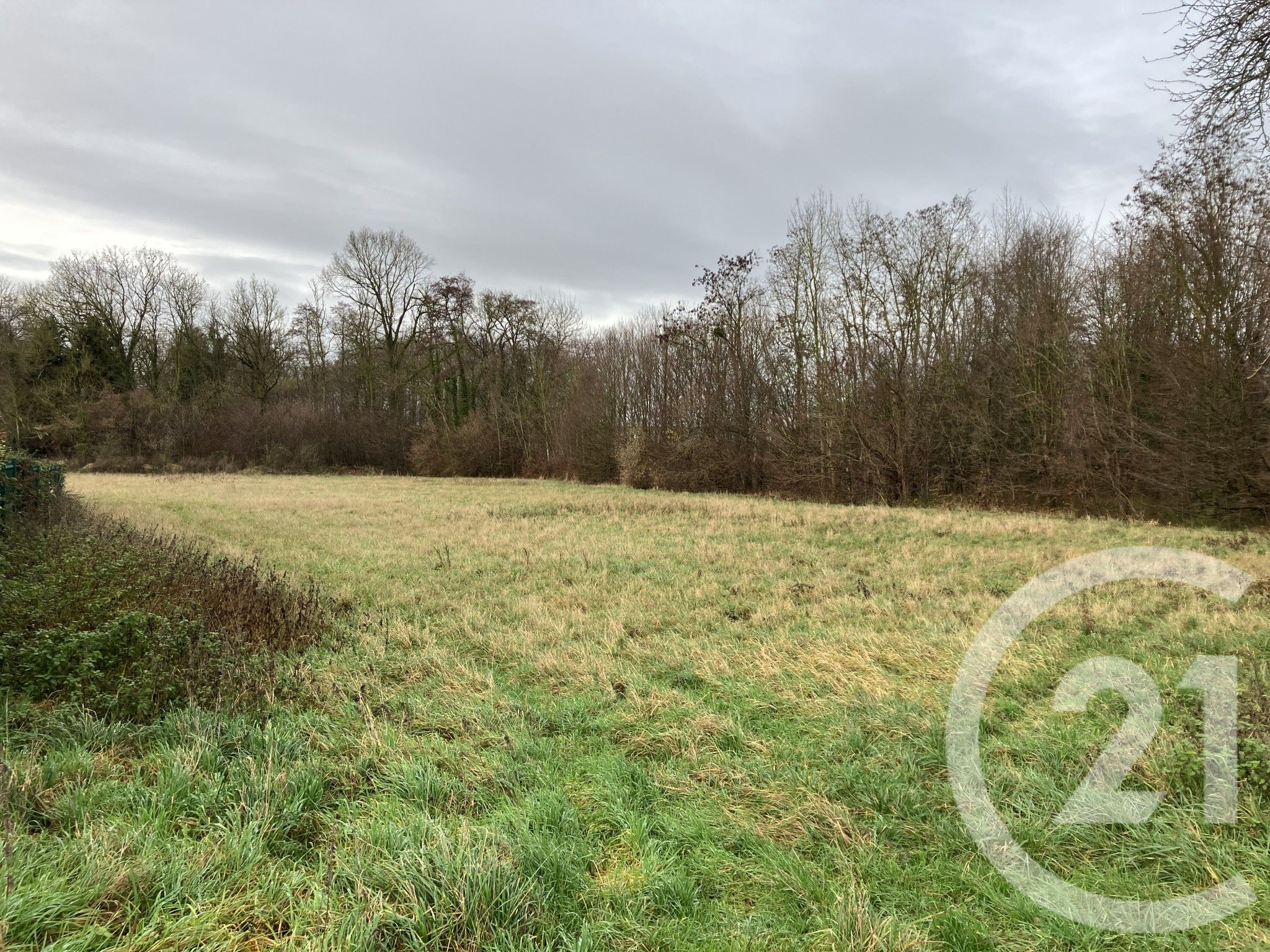 Terrain — Pogny