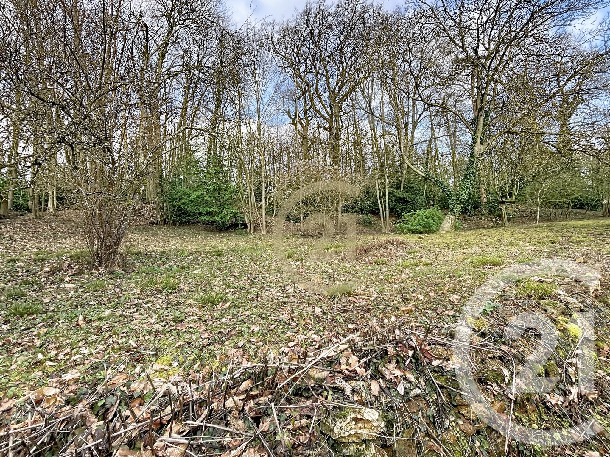 Terrain — Boisemont