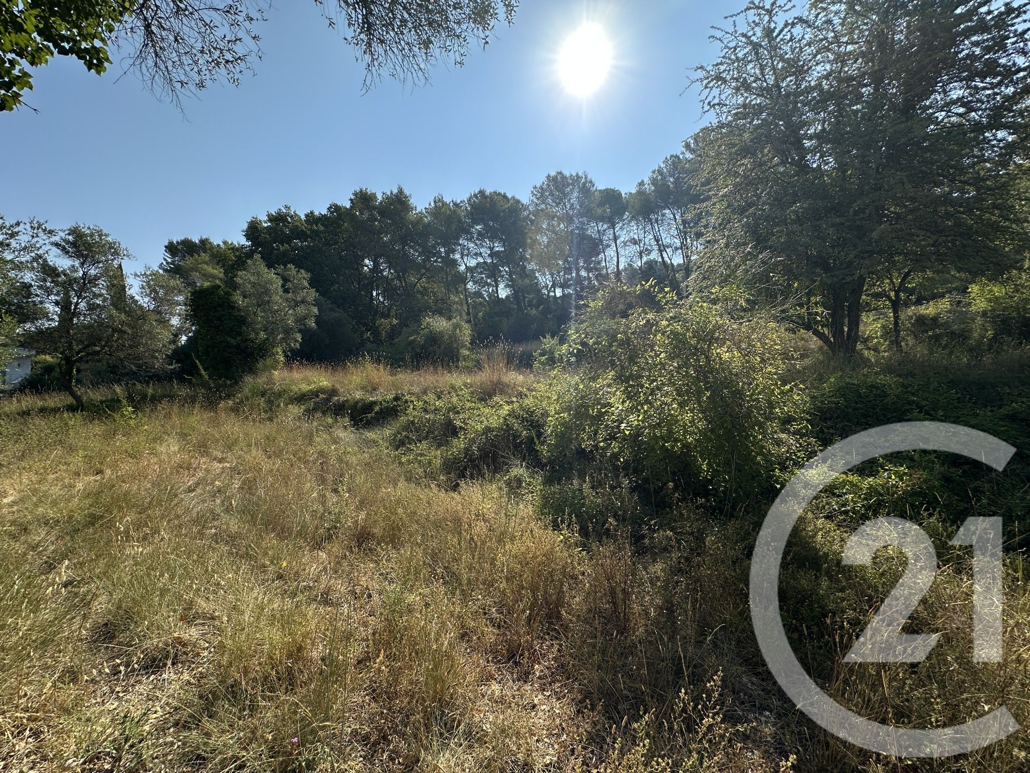 Terrain — Mougins
