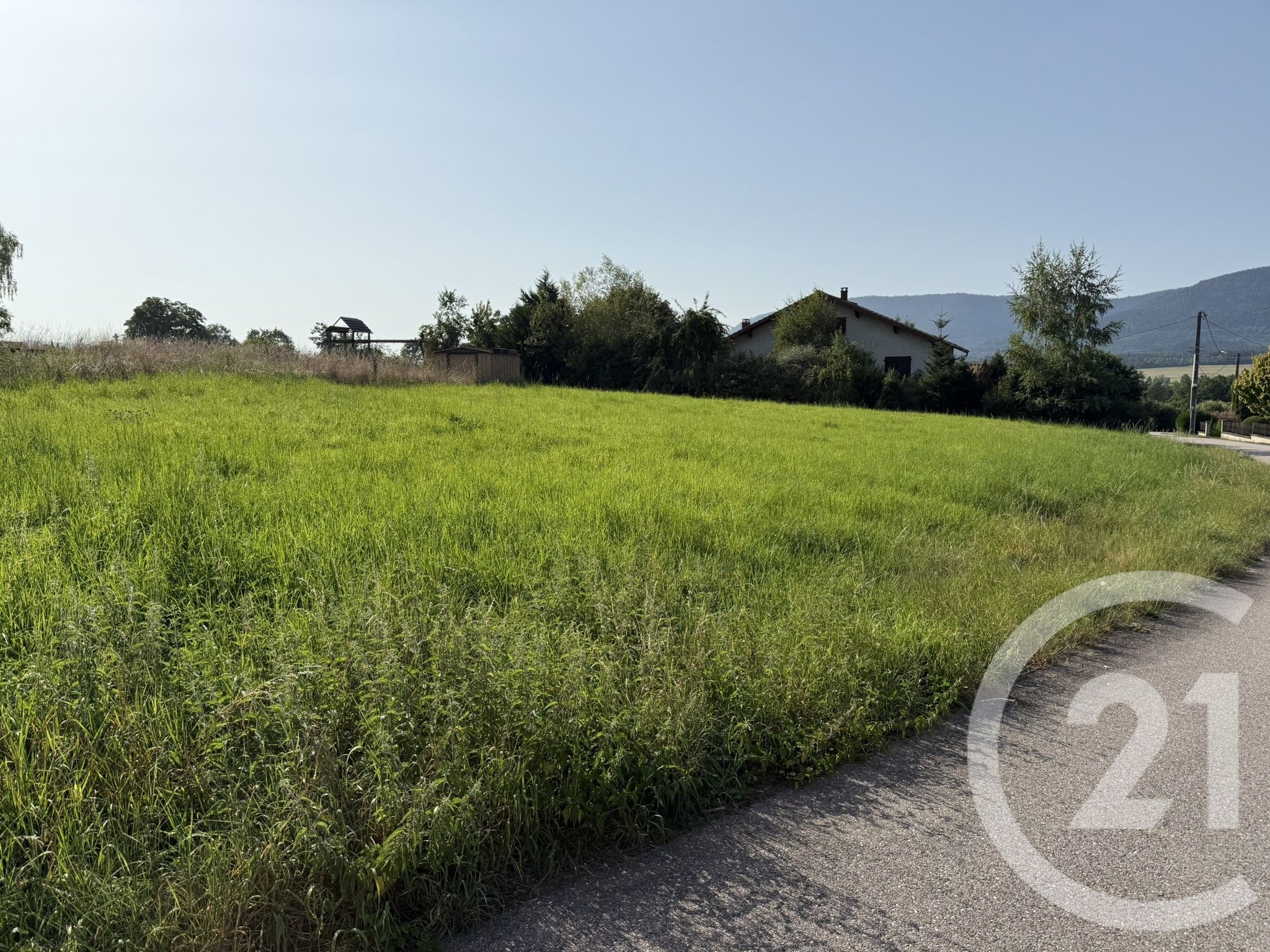 Terrain — Bertrimoutier