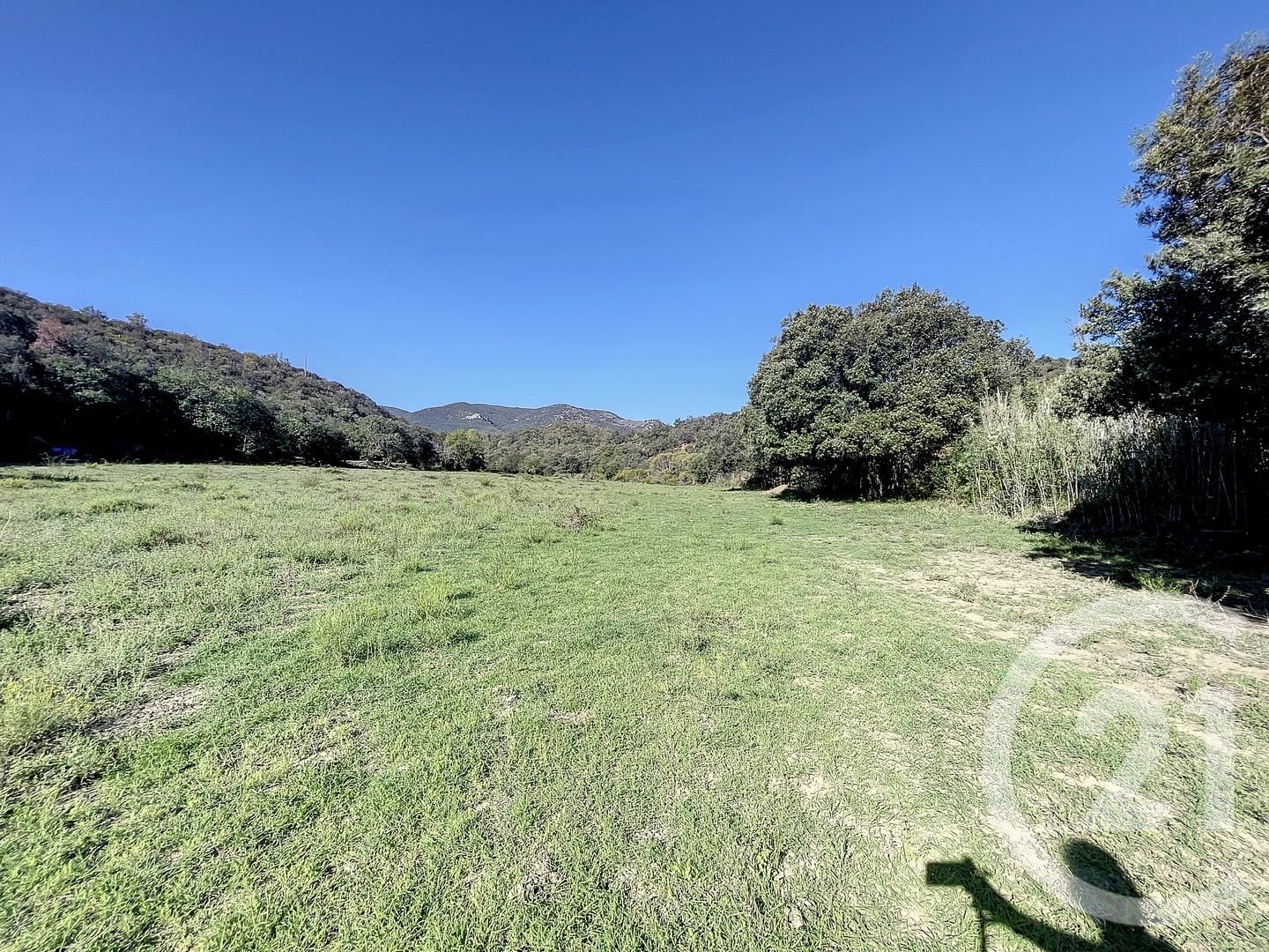 Terrain — Montauriol