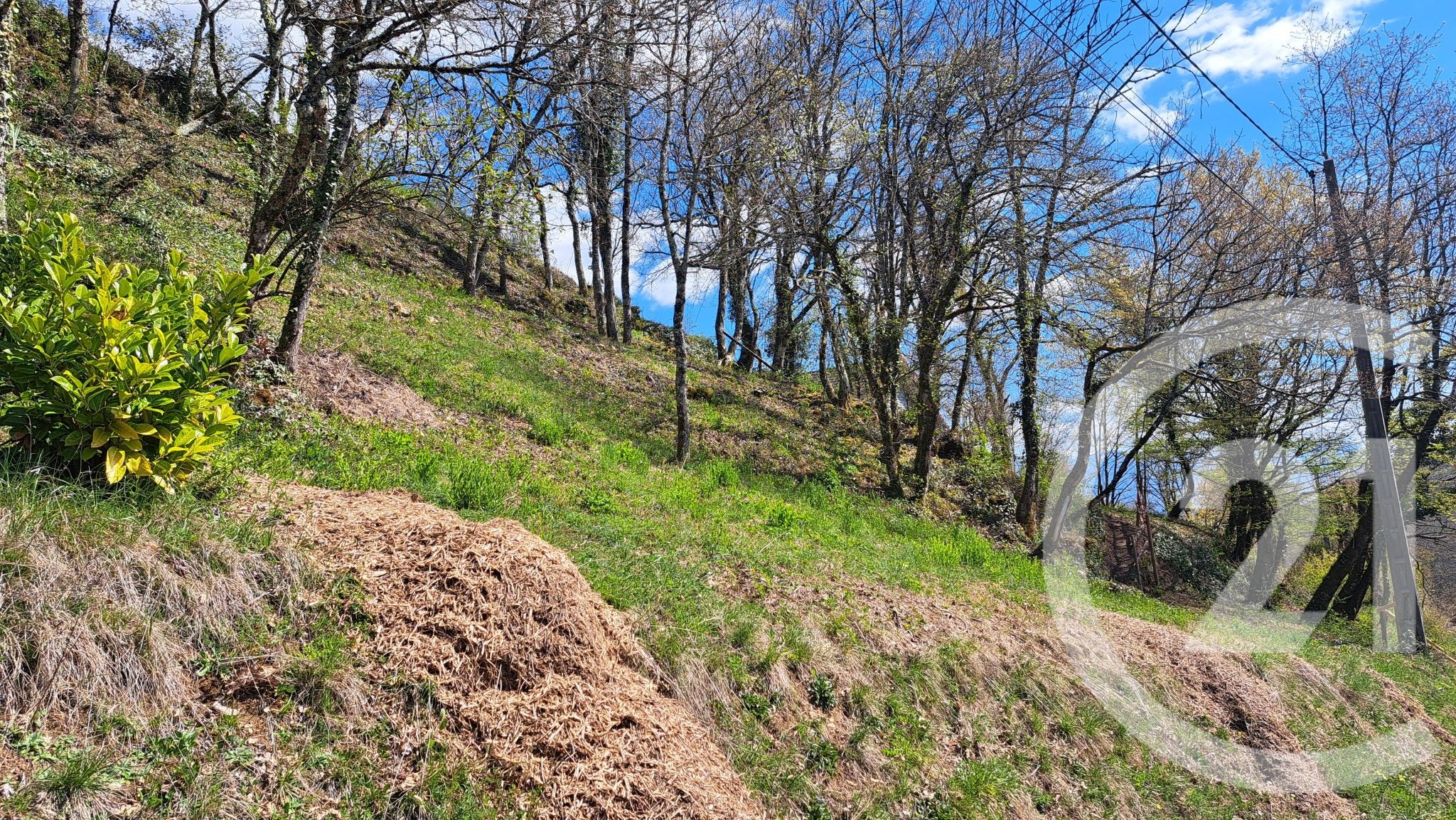 Terrain — Conjux