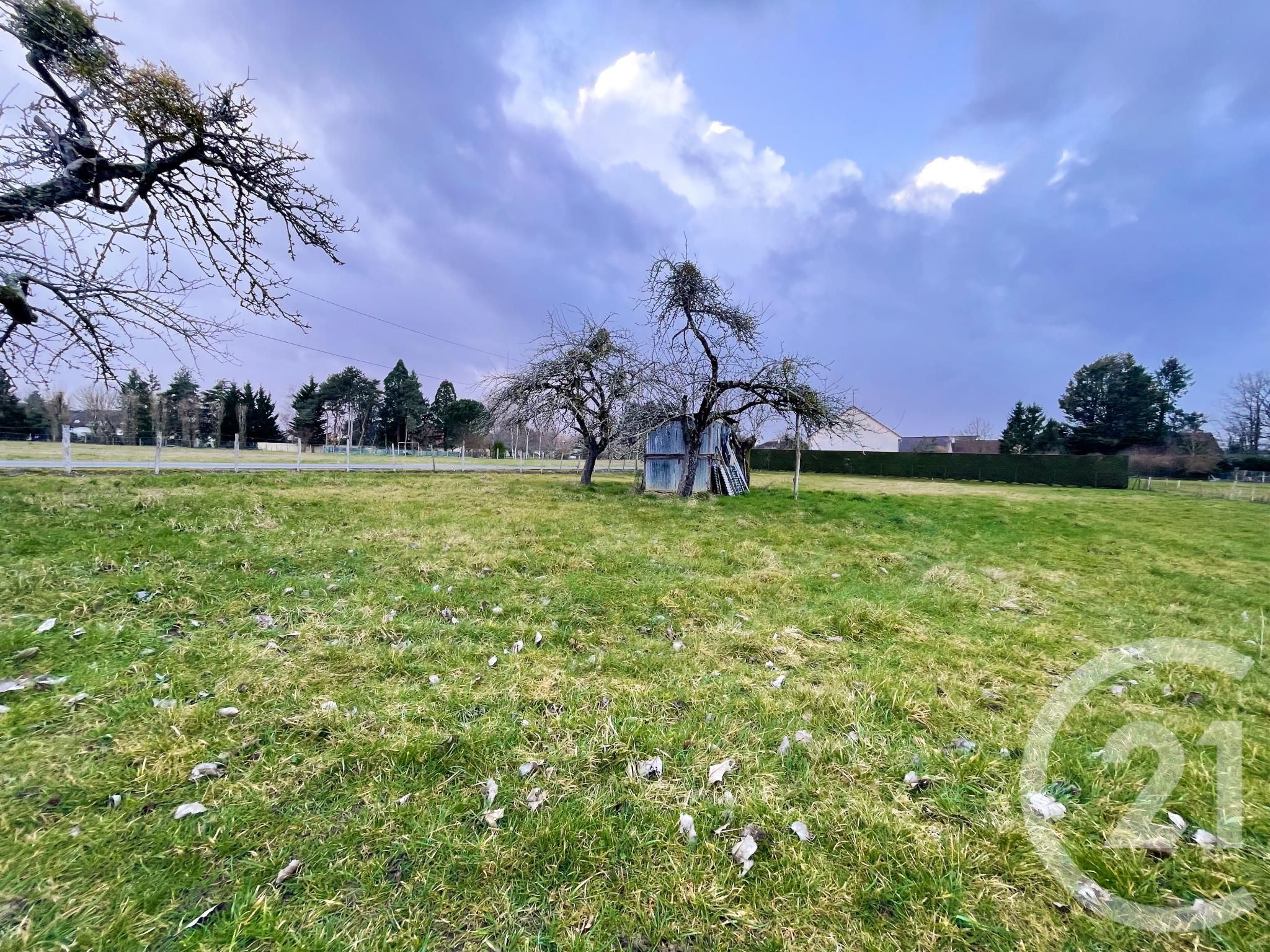 Terrain — Le Poinçonnet