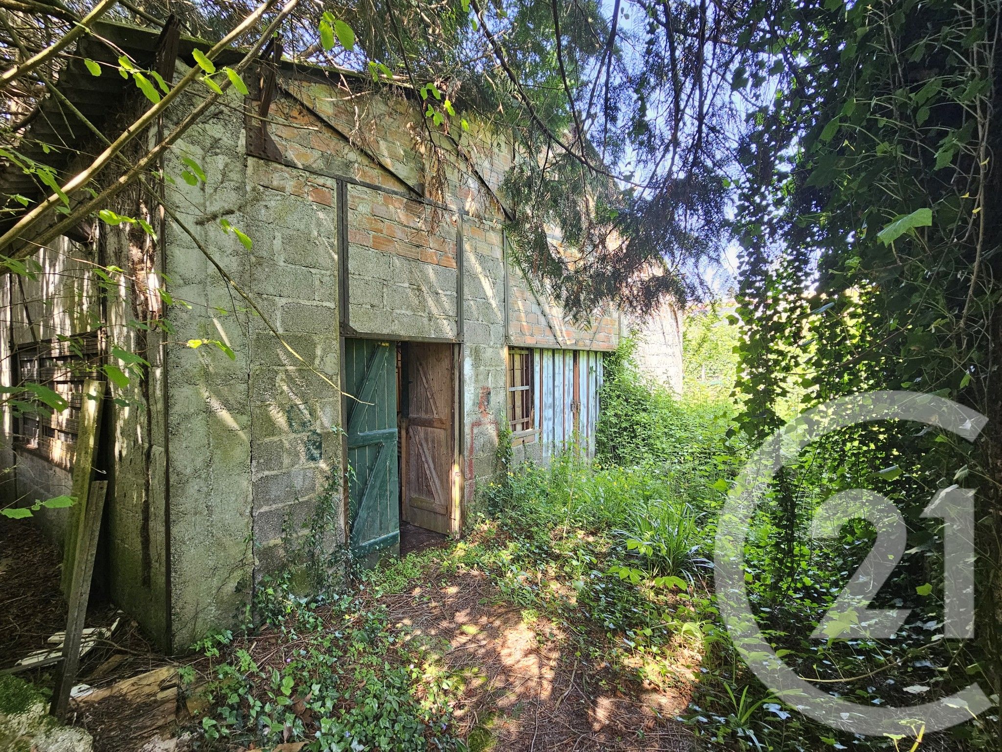 property photo
