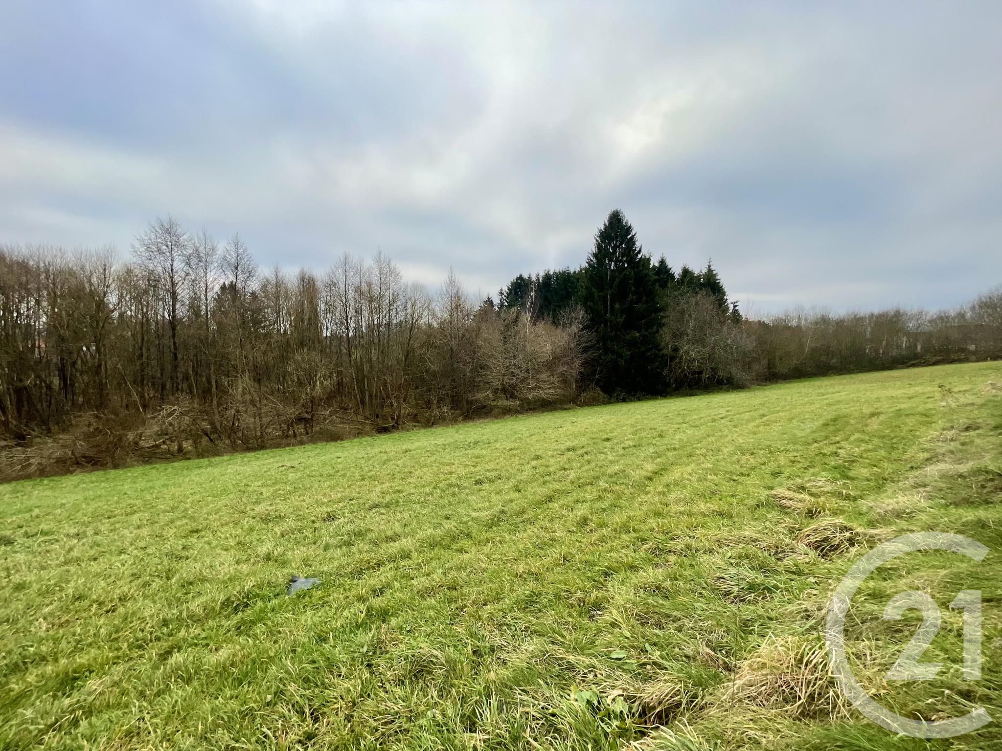 Terrain — Hadol