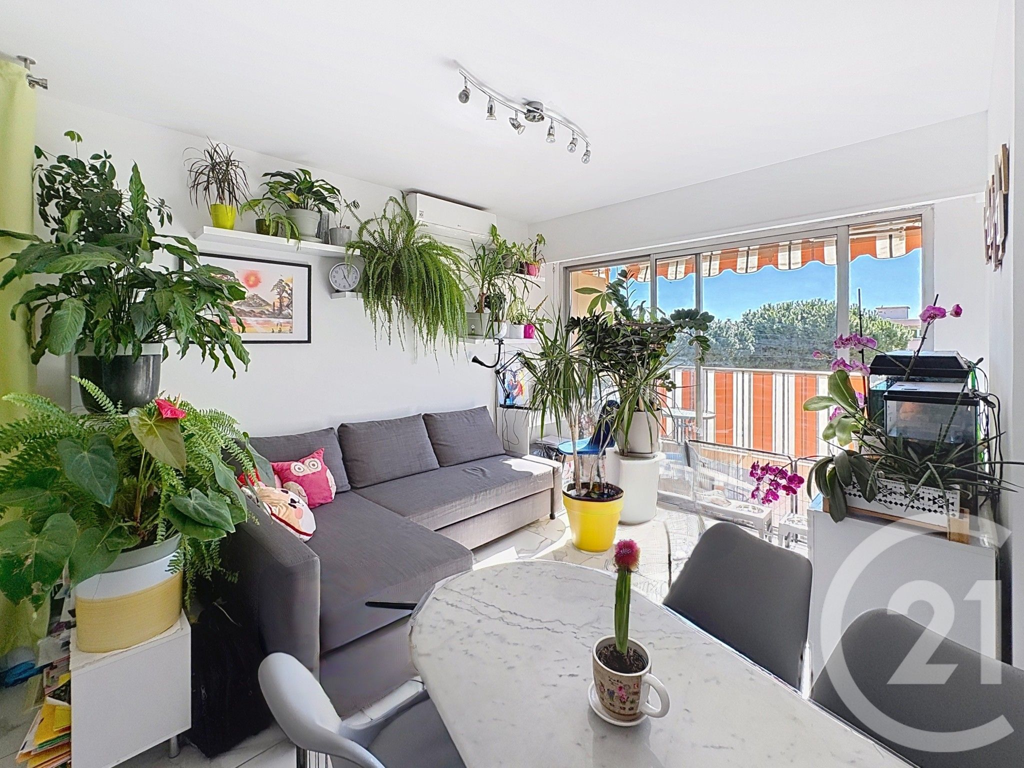 Appartement 2P – Mandelieu-la-Napoule (06210)