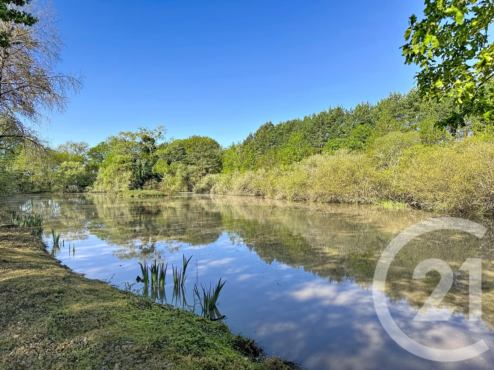 Terrain — Lassay-sur-Croisne