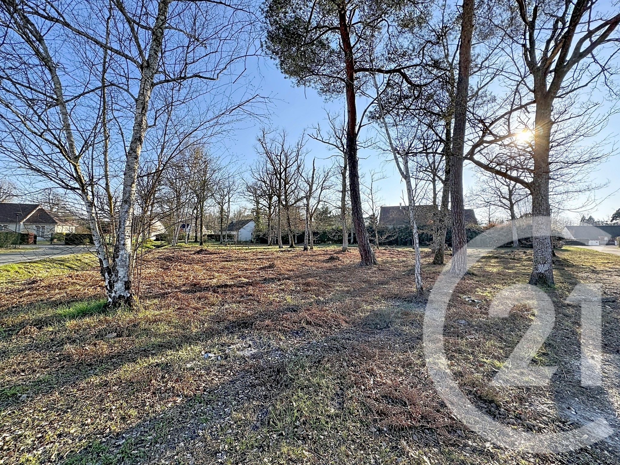 Terrain — Nançay