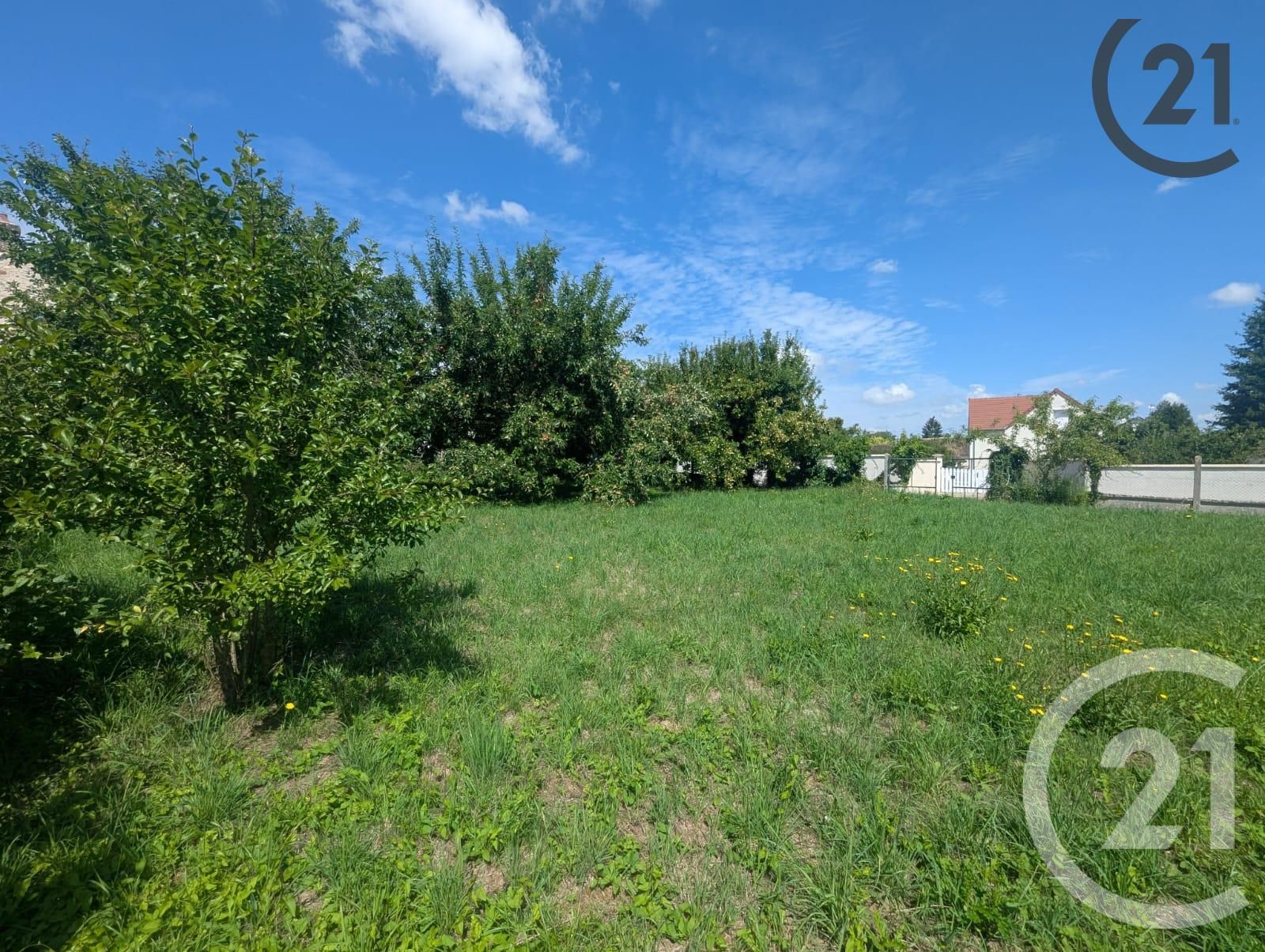 Terrain — Jutigny